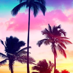California Employment  Law Update